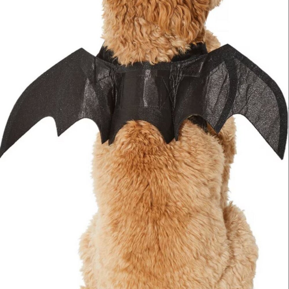 Frisco Bat Wings Dog & Cat Costume, Medium / Large